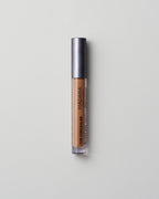 Luminous Perfecting Concealer
