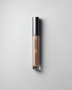 Luminous Perfecting Concealer