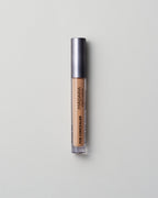 Luminous Perfecting Concealer