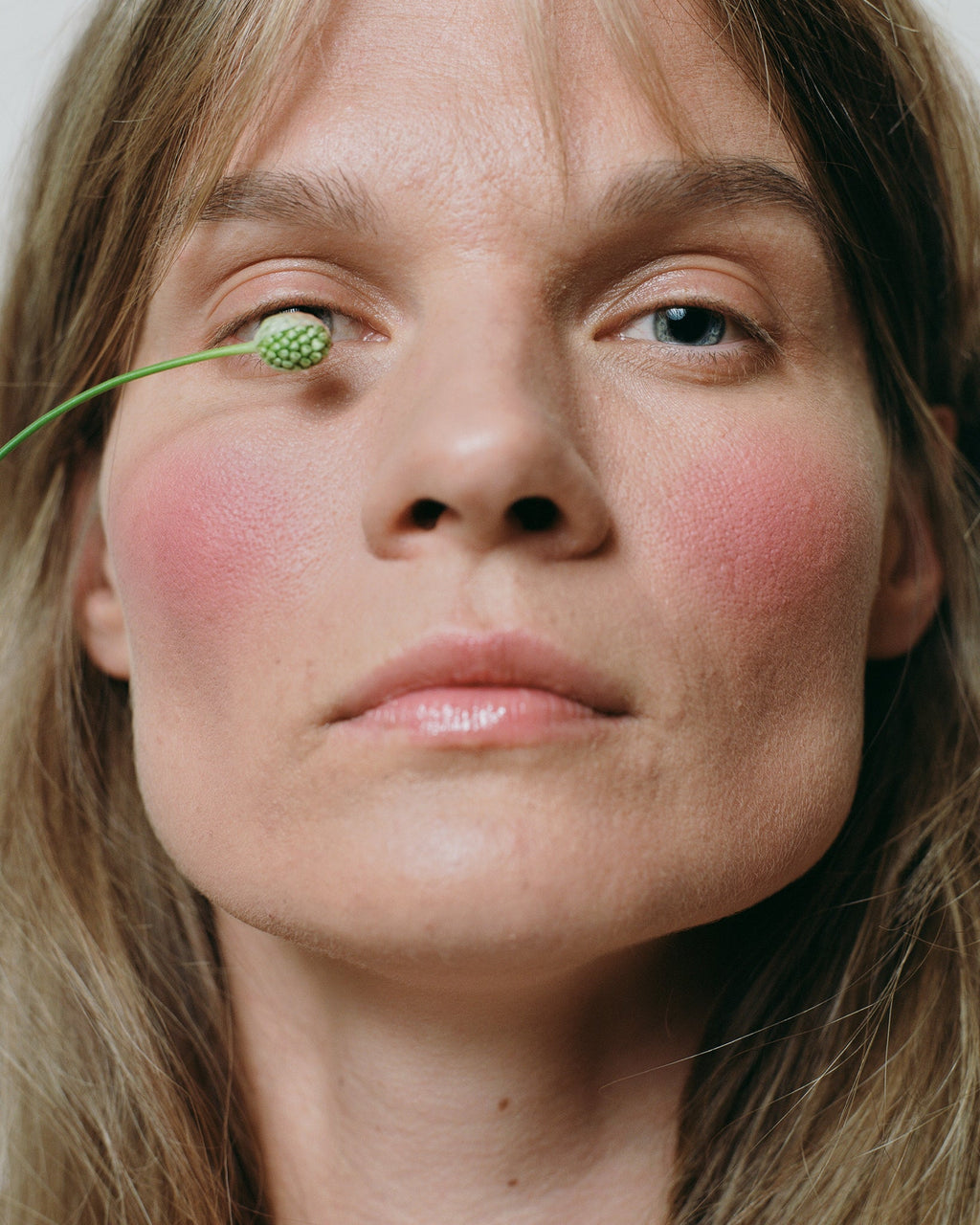 Mineral Cheek Blusher