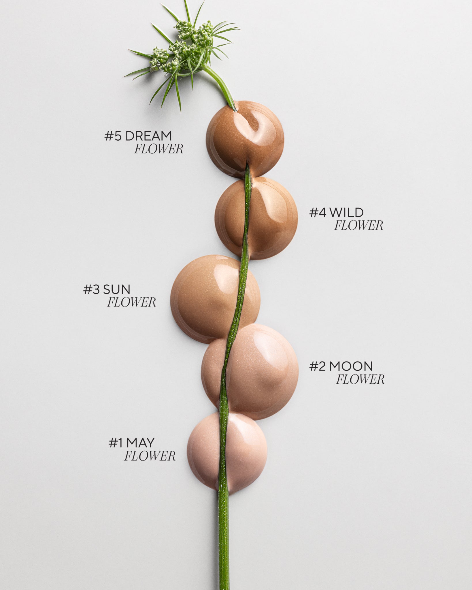 Hyaluron Tinted Serum